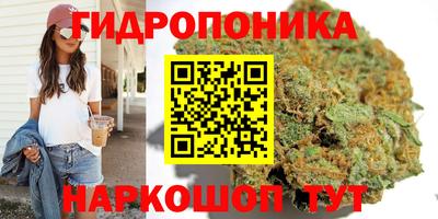 мяу мяу мука Кандалакша